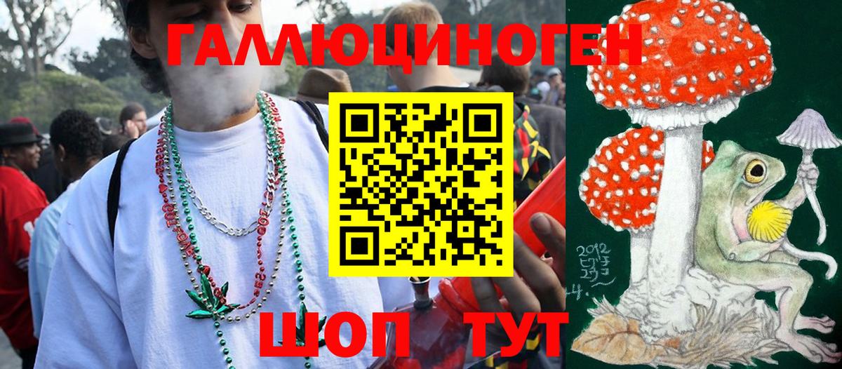 Ульяновск  Псилоцибиновые грибы Psilocybine cubensis  Вход с VPN 